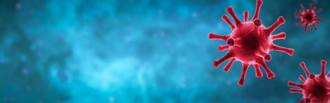 Cognitive Deficits in Long Covid-19: How to recover from it