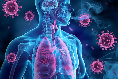 The Role of Folic Acid in the Management of Respiratory Disease Caused by COVID 19 The Role of Folic Acid