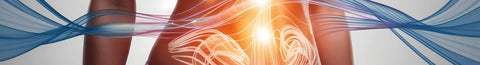 The Top 6 Digestive Enzymes The Top 6 Digestive Enzymes