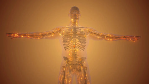 What happens when your vitamin B12 is low? What happens when your vitamin B12 is low?