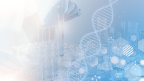 What is a MTHFR gene mutation?