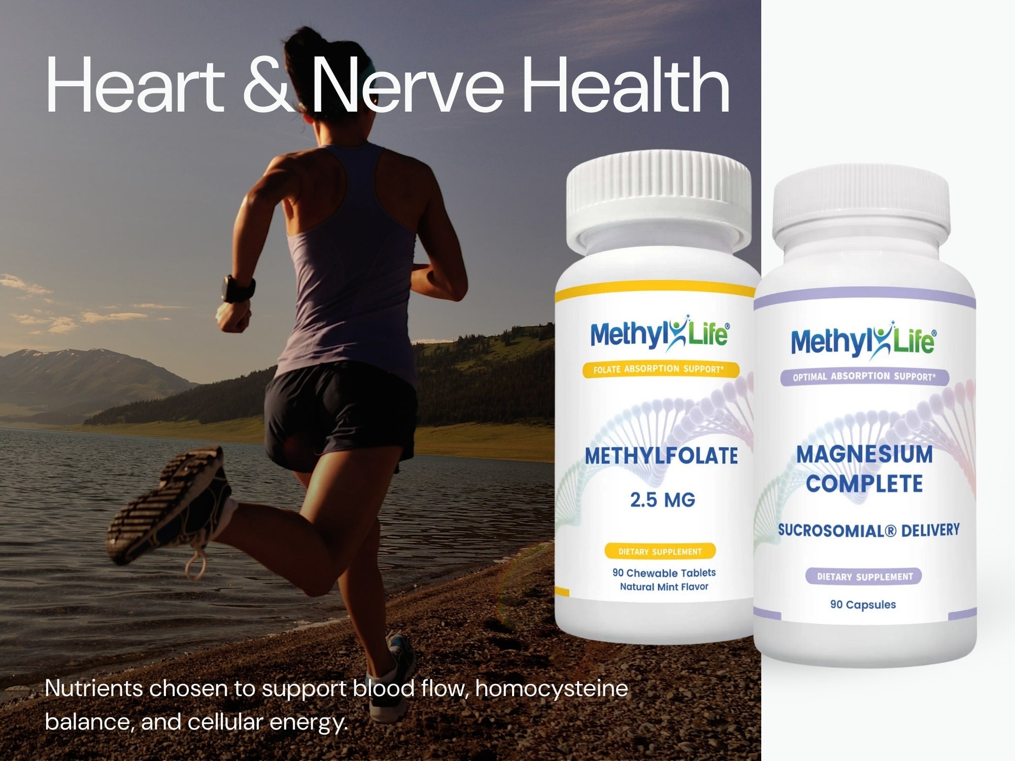 Cardiovascular & Nerve Health Support