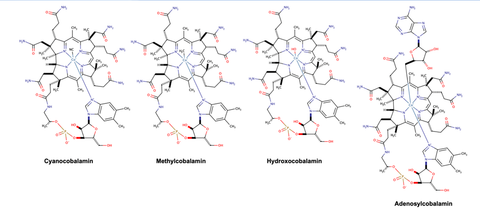 Structural formulas of Cyanocobalamin, Methylcobalamin, Hydroxy B12, and Adenylcobalamin on a white background.