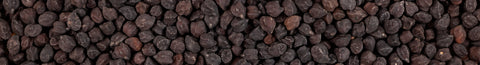 Unmetabolized Folic Acid