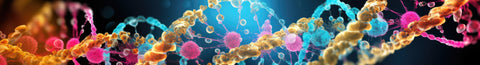 Enzymes: Everything You Need To Know | Kind of a Big Deal