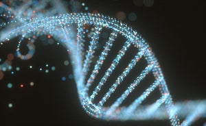 How Does the MTHFR Gene Affect Your Child's Health?