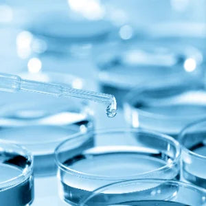 Sources of probiotics