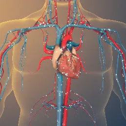 What Are Folate Receptor Autoantibodies?