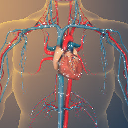 What are Folate Receptor Autoantibodies?