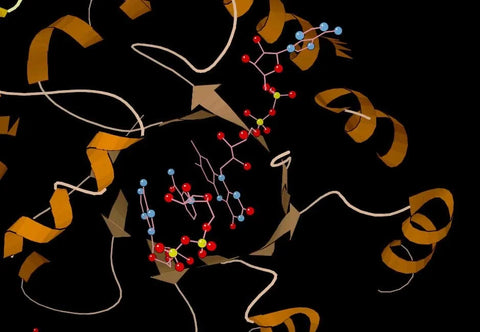 Super B Complex and MTHFR