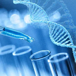 What is the SHMT gene mutation?