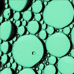 Glutathione and MTHFR