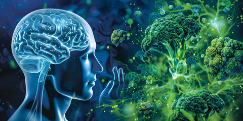 Vitamins And Minerals To Improve Memory