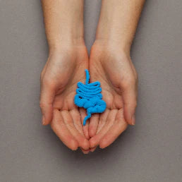 What is Irritable Bowel Syndrome (IBS)