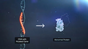 MTHFR Gene Mutation - How To Rewire Your Genetics
