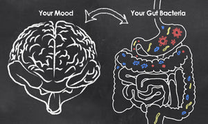 The Connection Between Gut Health and Brain Function