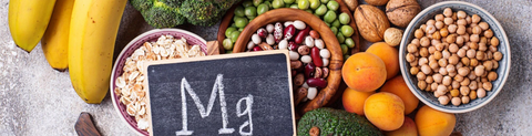 GABA and Magnesium