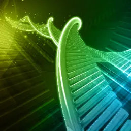What Is DNA Hypomethylation?