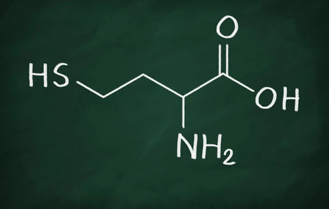 Homocysteine and Hyperhomocysteinemia: Hard to spell. Easy to manage - Homocysteine and Hyperhomocysteinemia: Hard