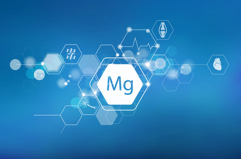 GABA and Magnesium