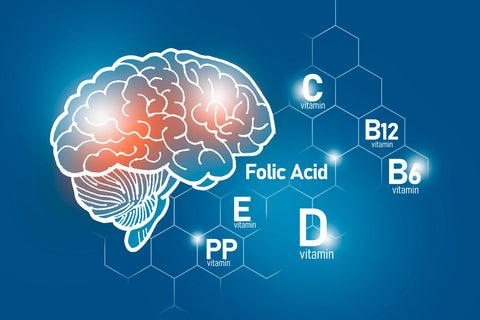 What Are the Symptoms of Cerebral Folate Deficiency?