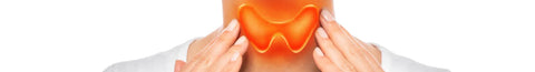 MTHFR and Thyroid