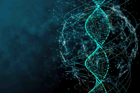 MTHFR gene mutation symptoms in Men: Understanding the Impact of Gene Variations - MTHFR gene mutation symptoms in Men: