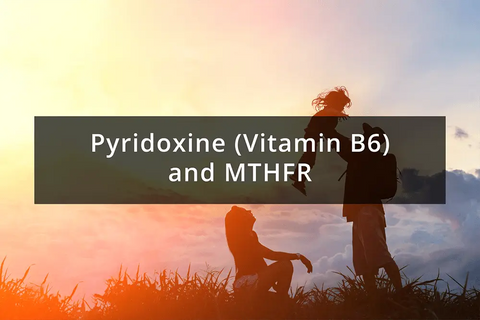 Pyridoxine (Vitamin B6) and MTHFR - Pyridoxine (Vitamin B6) and MTHFR | Methyl-Life