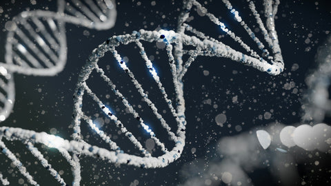 MTHFR Gene Mutations and Multiple Sclerosis: Is There a Connection? - MTHFR Mutations and Multiple Sclerosis: