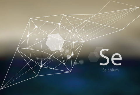 The Connection Between Selenium and the Immune System