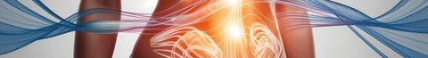 The Top 6 Digestive Enzymes