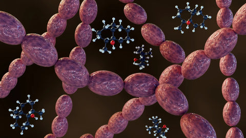 What is DNA Hypermethylation? What is DNA Hypermethylation?