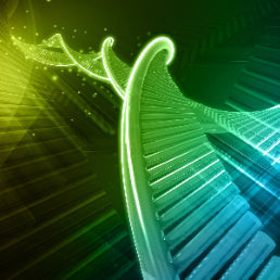 What is DNA Hypomethylation? What is DNA Hypomethylation?