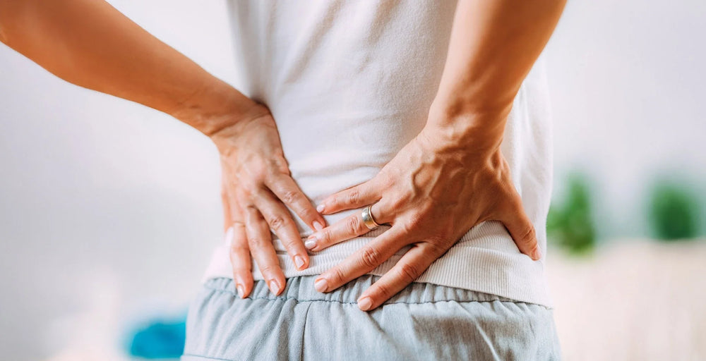 Nerve Health Nutrients Collection