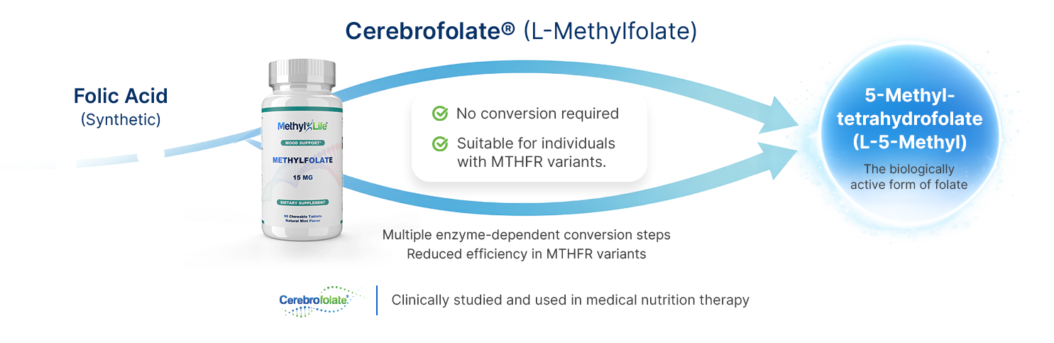 Why the bioactive form of folate matters