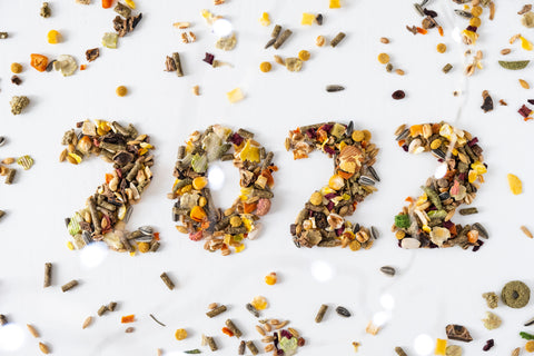 The 8 Best Vitamin B12 Supplements in 2022