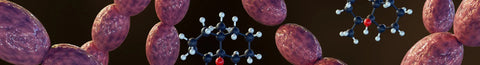 What is DNA Hypermethylation?