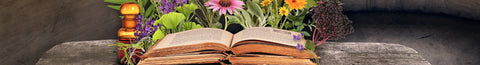 The best books about MTHFR