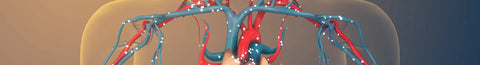 What are Folate Receptor Autoantibodies?