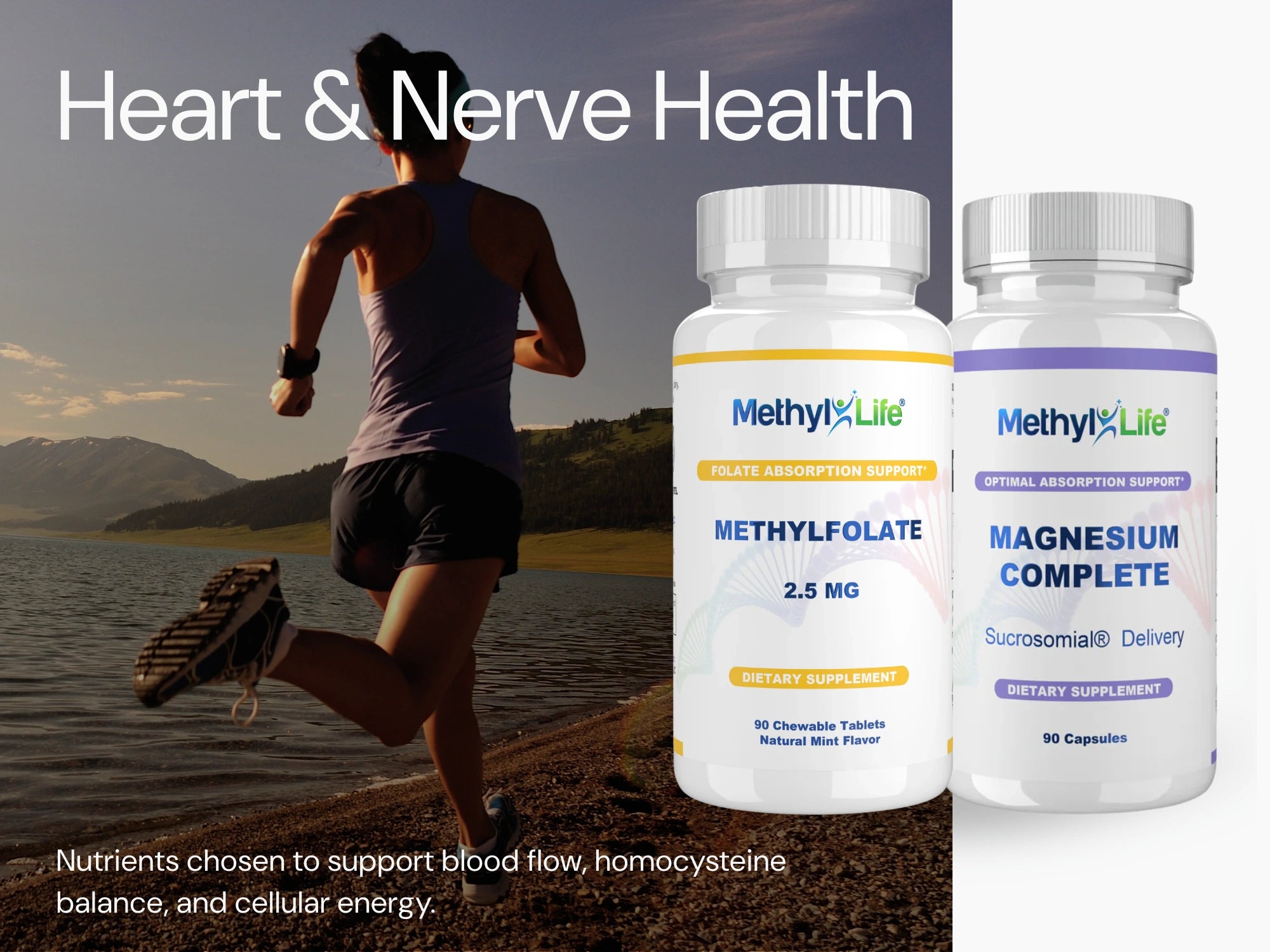 Cardiovascular & Nerve Health Support
