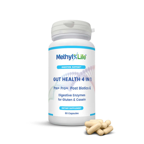 Gut Health 4 in 1: Full-Spectrum Microbiome Support - Methyl-Life® Supplements