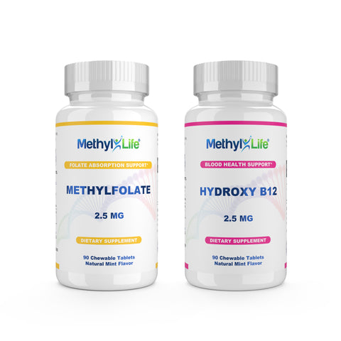 acetyl l carnitine empty stomach or with food acetyl l carnitine with food or empty stomach NOW Foods Acetyl-L-Carnitine 500mg