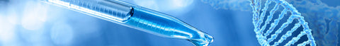 What is the SHMT gene mutation?