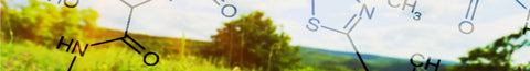 L-Methylfolate & the Environment