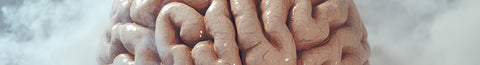 Healthy Ways to Clear Brain Fog