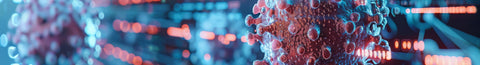 How Can You Boost Your Immune System During Coronavirus?