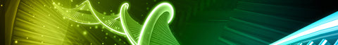What is DNA Hypomethylation?