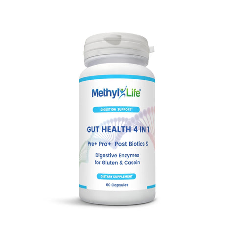 Gut Health 4 in 1: Full-Spectrum Microbiome Support - Methyl-Life® Supplements