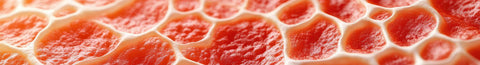 High histamine: what it does and why it’s so complicated