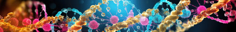 Digestive enzymes and MTHFR